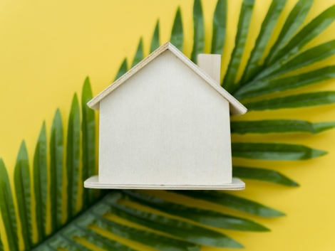 Sustainable Home Renovations