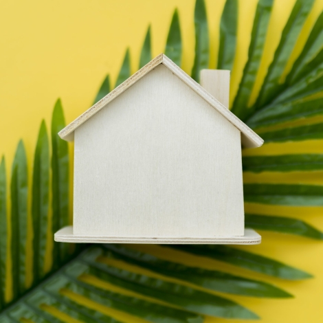 Sustainable Home Renovations